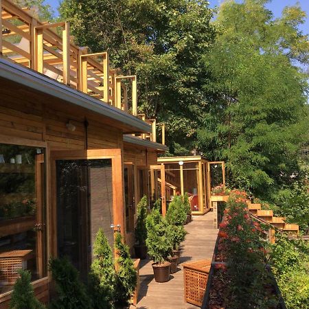 The Book Niche Bed & Breakfast Брашов Екстериор снимка