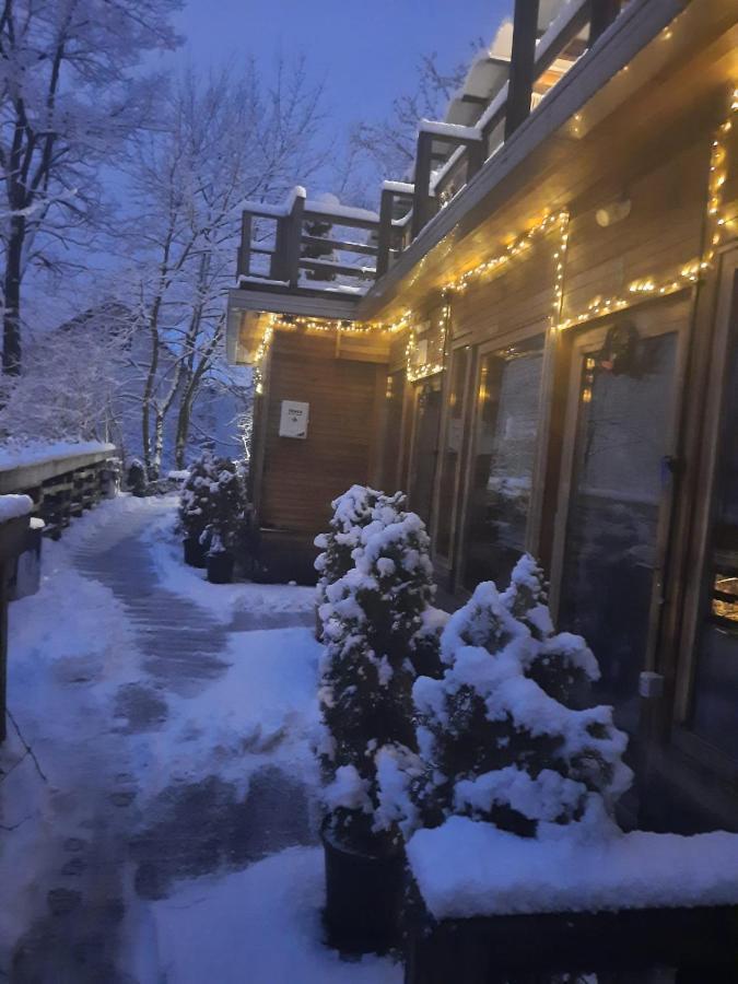 The Book Niche Bed & Breakfast Брашов Екстериор снимка