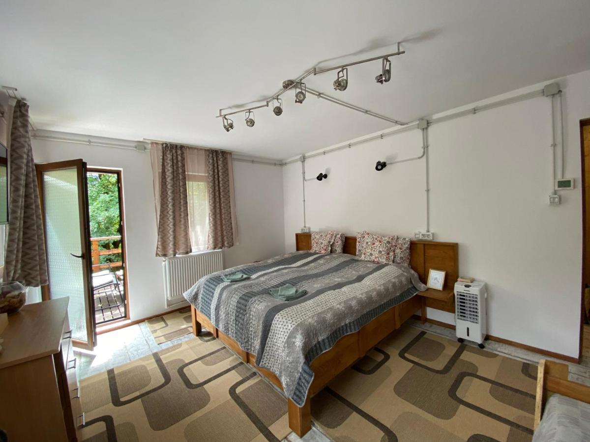 The Book Niche Bed & Breakfast Брашов Екстериор снимка