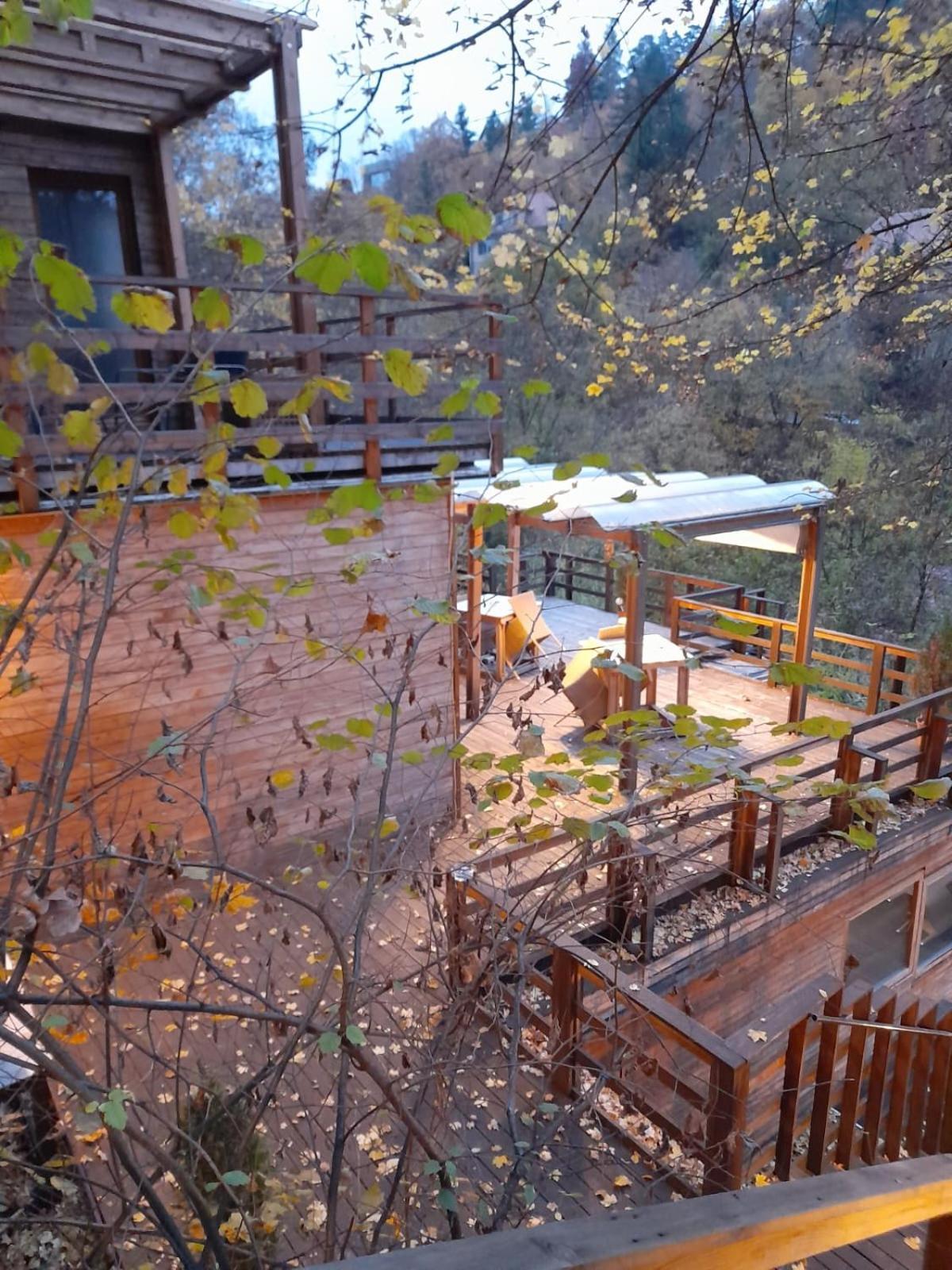 The Book Niche Bed & Breakfast Брашов Екстериор снимка