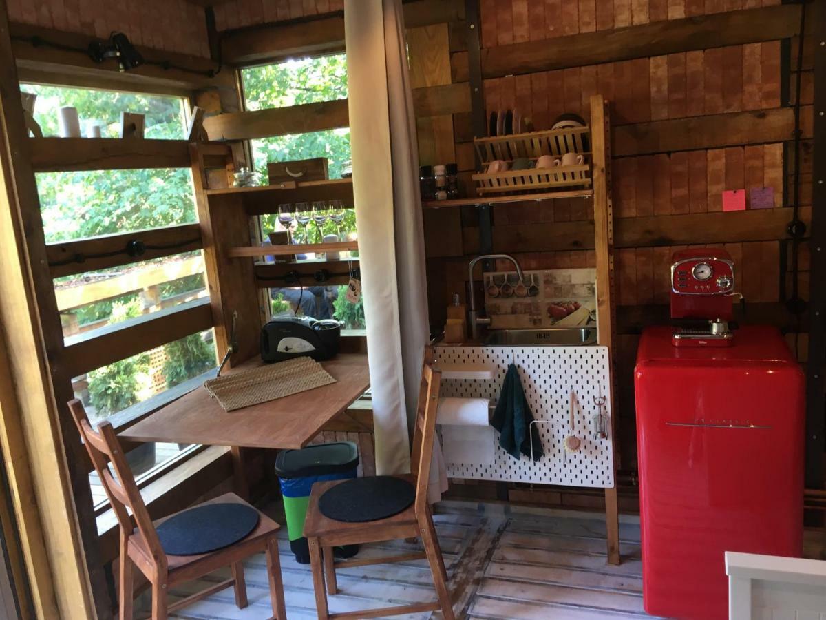 The Book Niche Bed & Breakfast Брашов Екстериор снимка